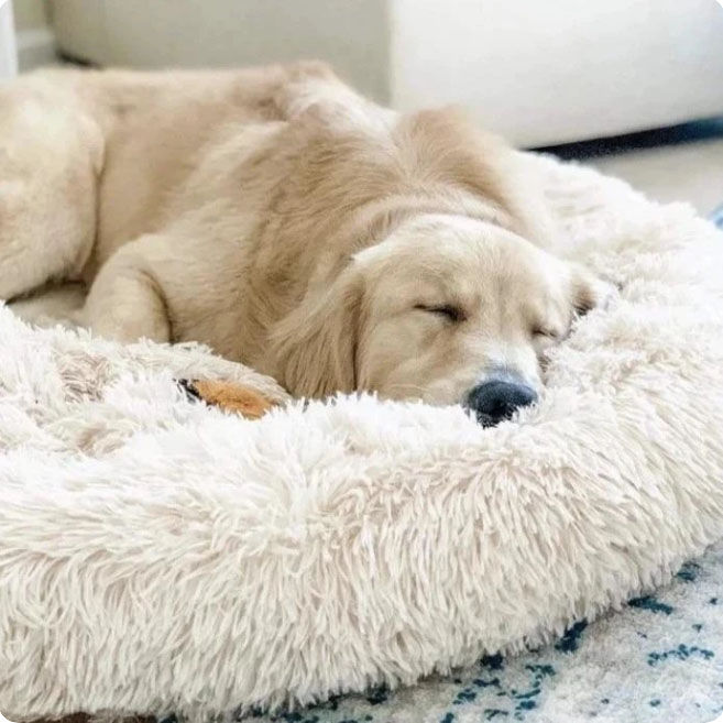 PawRoll Donut Cuddler Bed — view 1